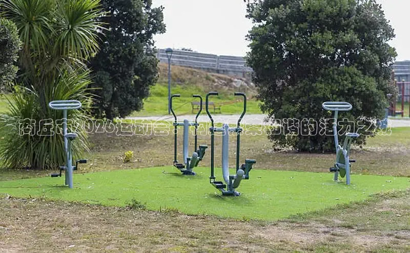 谈球吧体育